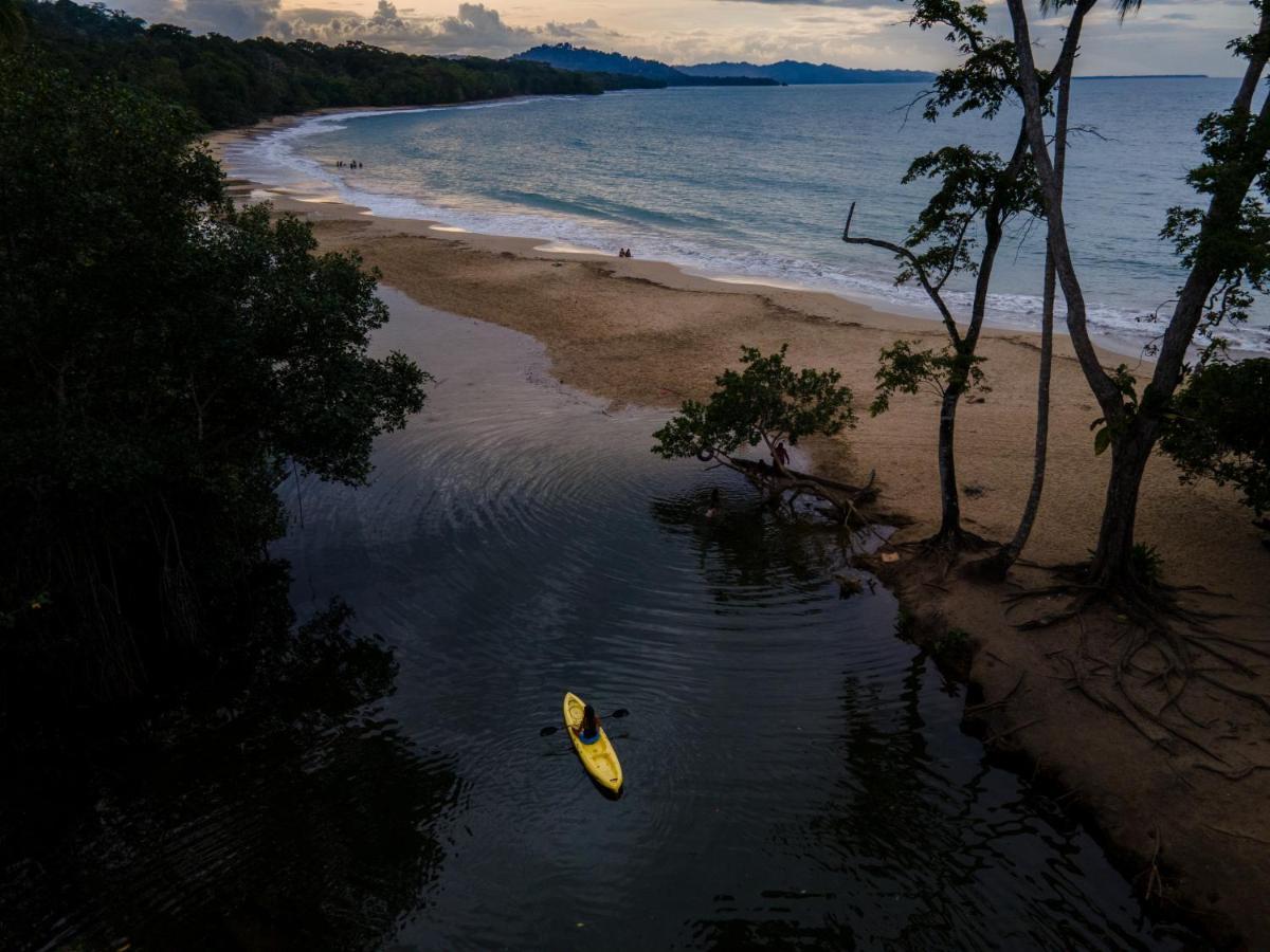 Gigi Brown Villa Paparazzi Beachfront Puerto Viejo de Talamanca ภายนอก รูปภาพ