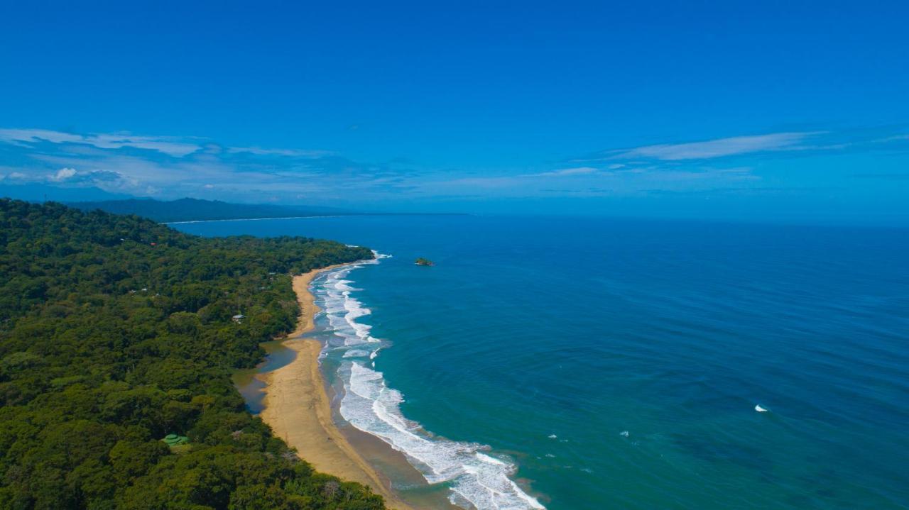 Gigi Brown Villa Paparazzi Beachfront Puerto Viejo de Talamanca ภายนอก รูปภาพ