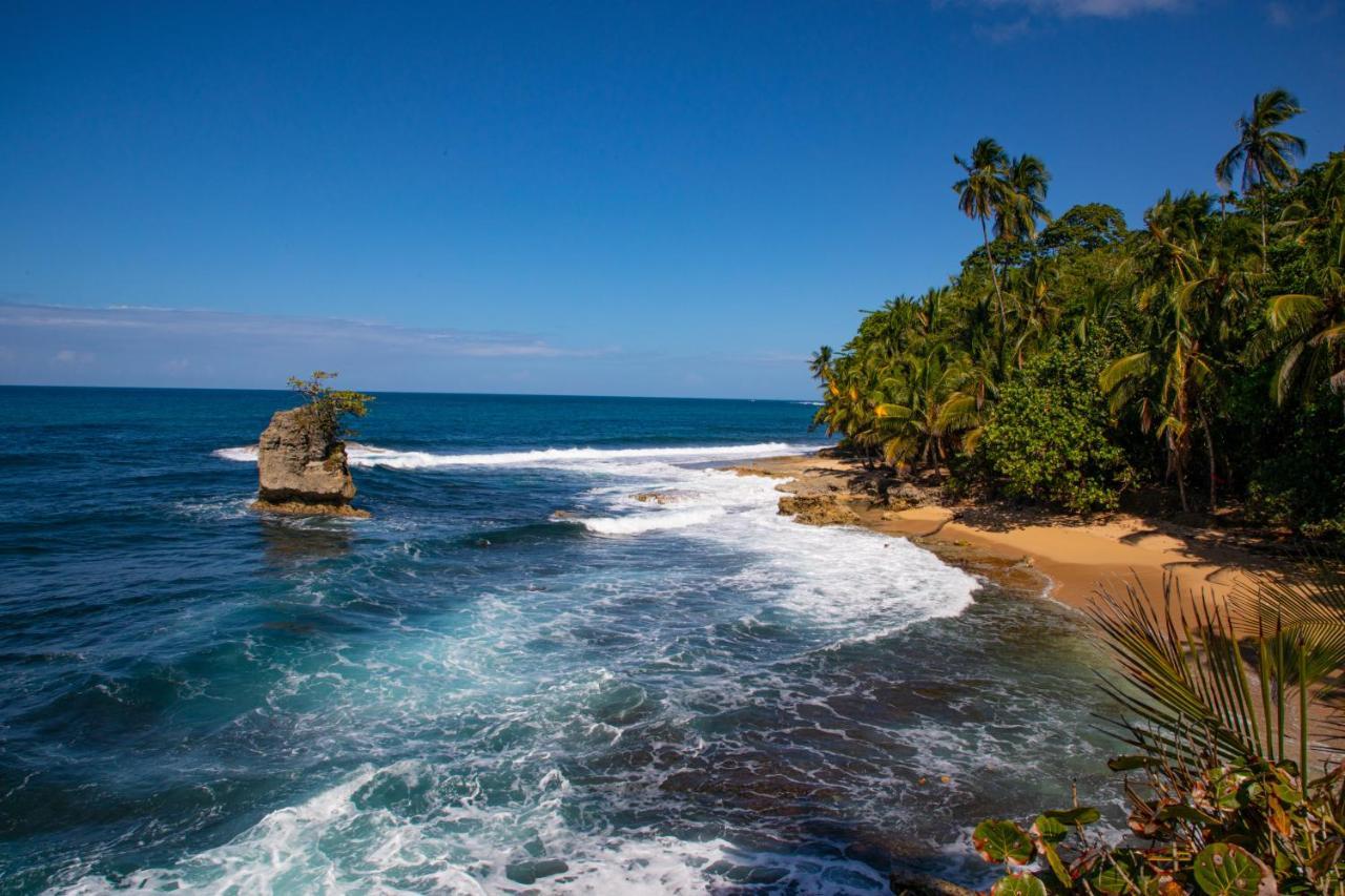 Gigi Brown Villa Paparazzi Beachfront Puerto Viejo de Talamanca ภายนอก รูปภาพ