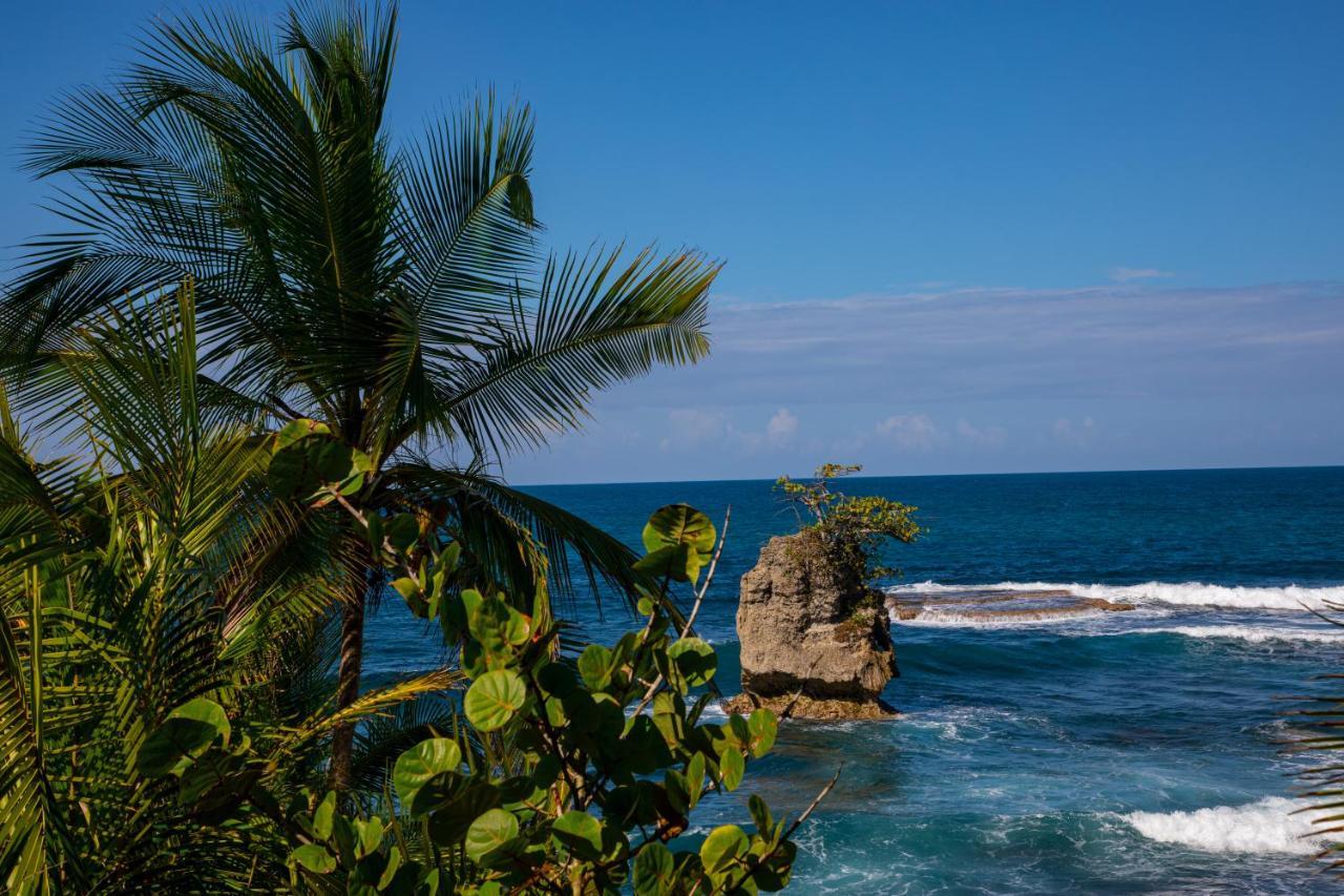 Gigi Brown Villa Paparazzi Beachfront Puerto Viejo de Talamanca ภายนอก รูปภาพ
